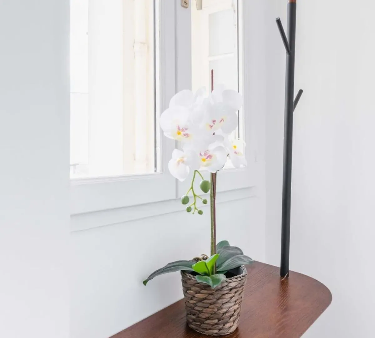 Fonctionnel Et Confortable - 10 - 2p - Flat-guest 파리